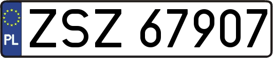 ZSZ67907
