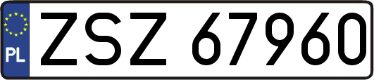 ZSZ67960