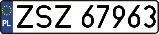 ZSZ67963