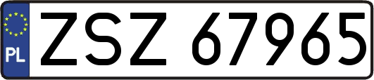 ZSZ67965