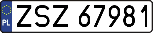 ZSZ67981