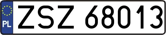 ZSZ68013