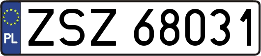 ZSZ68031