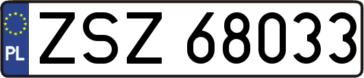 ZSZ68033