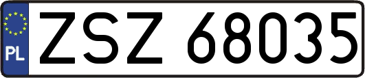 ZSZ68035