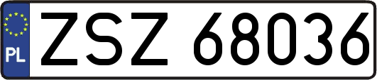 ZSZ68036