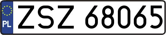 ZSZ68065