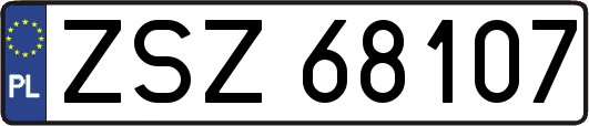 ZSZ68107