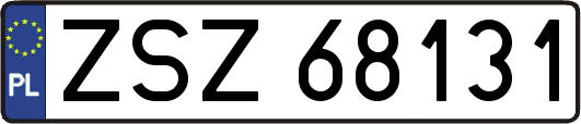 ZSZ68131