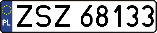 ZSZ68133