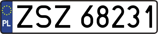 ZSZ68231