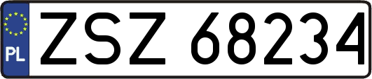 ZSZ68234
