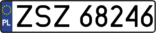 ZSZ68246