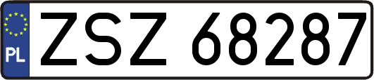 ZSZ68287