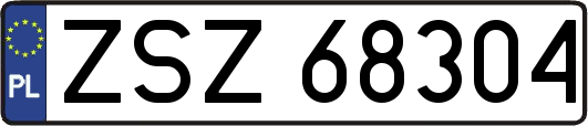 ZSZ68304