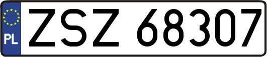 ZSZ68307