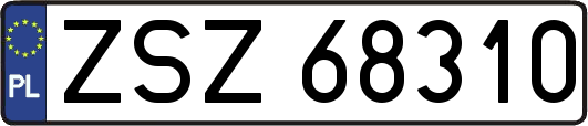 ZSZ68310