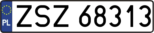 ZSZ68313
