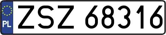 ZSZ68316