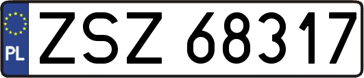 ZSZ68317