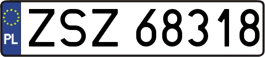 ZSZ68318