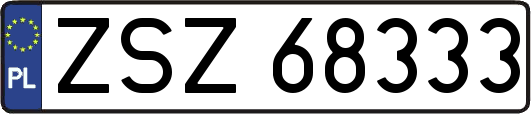 ZSZ68333