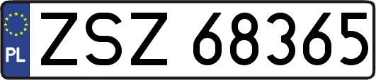 ZSZ68365