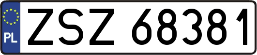 ZSZ68381