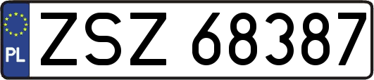ZSZ68387