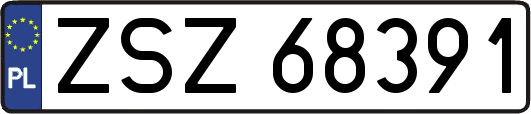 ZSZ68391