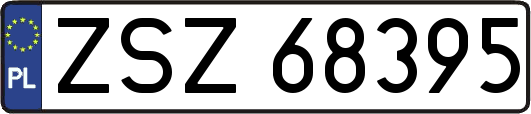 ZSZ68395