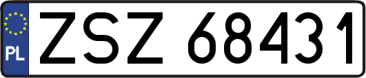 ZSZ68431