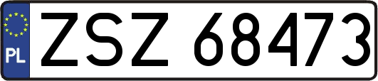 ZSZ68473
