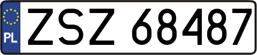 ZSZ68487
