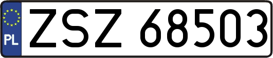 ZSZ68503