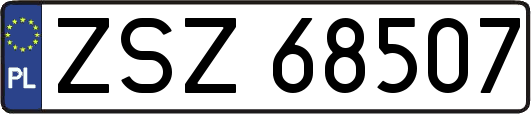ZSZ68507