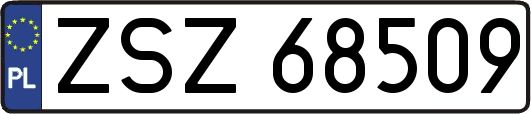 ZSZ68509