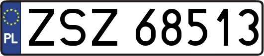 ZSZ68513