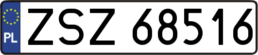 ZSZ68516