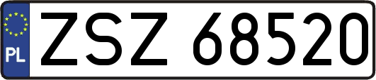 ZSZ68520