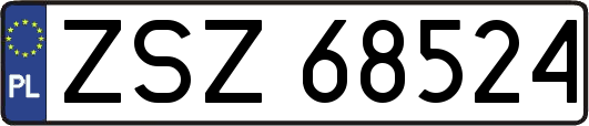 ZSZ68524