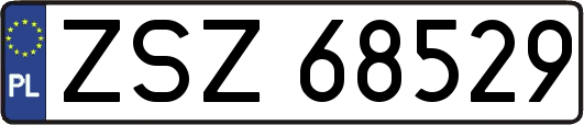ZSZ68529