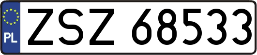 ZSZ68533