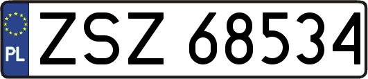 ZSZ68534