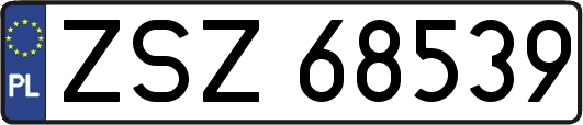 ZSZ68539