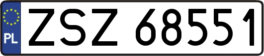 ZSZ68551