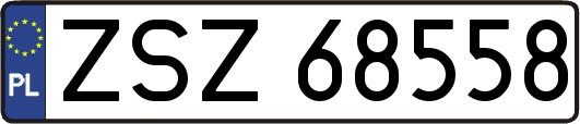 ZSZ68558