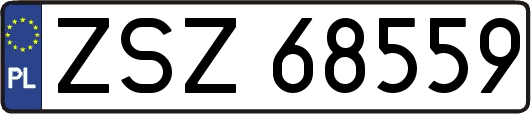 ZSZ68559