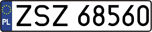 ZSZ68560