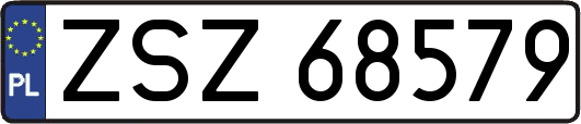 ZSZ68579